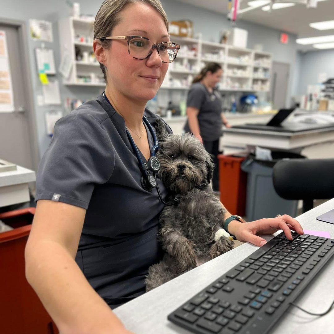 Female Veterinarian Sitting With Dog In Her Lap and working on a computer