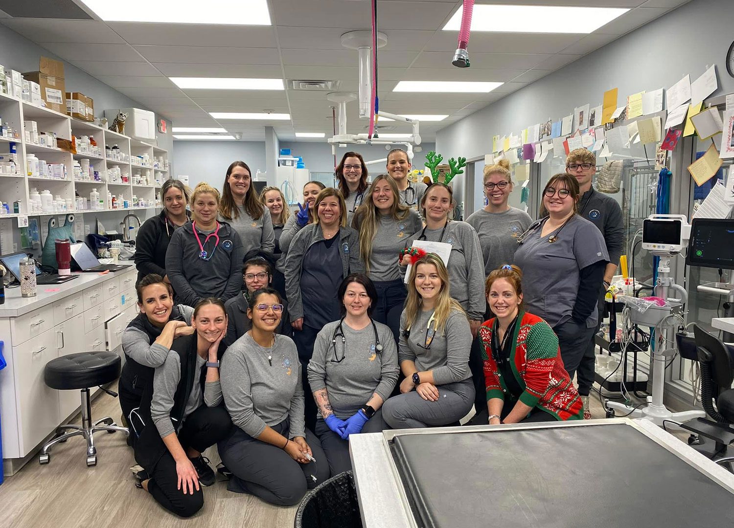 Hershey Animal Emergency Center Staff Christmas photo