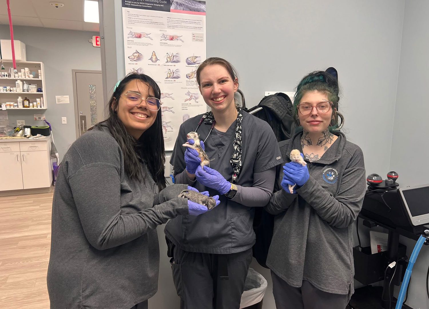 Three Female Veterinary Technicians Holding Kittens and smiling