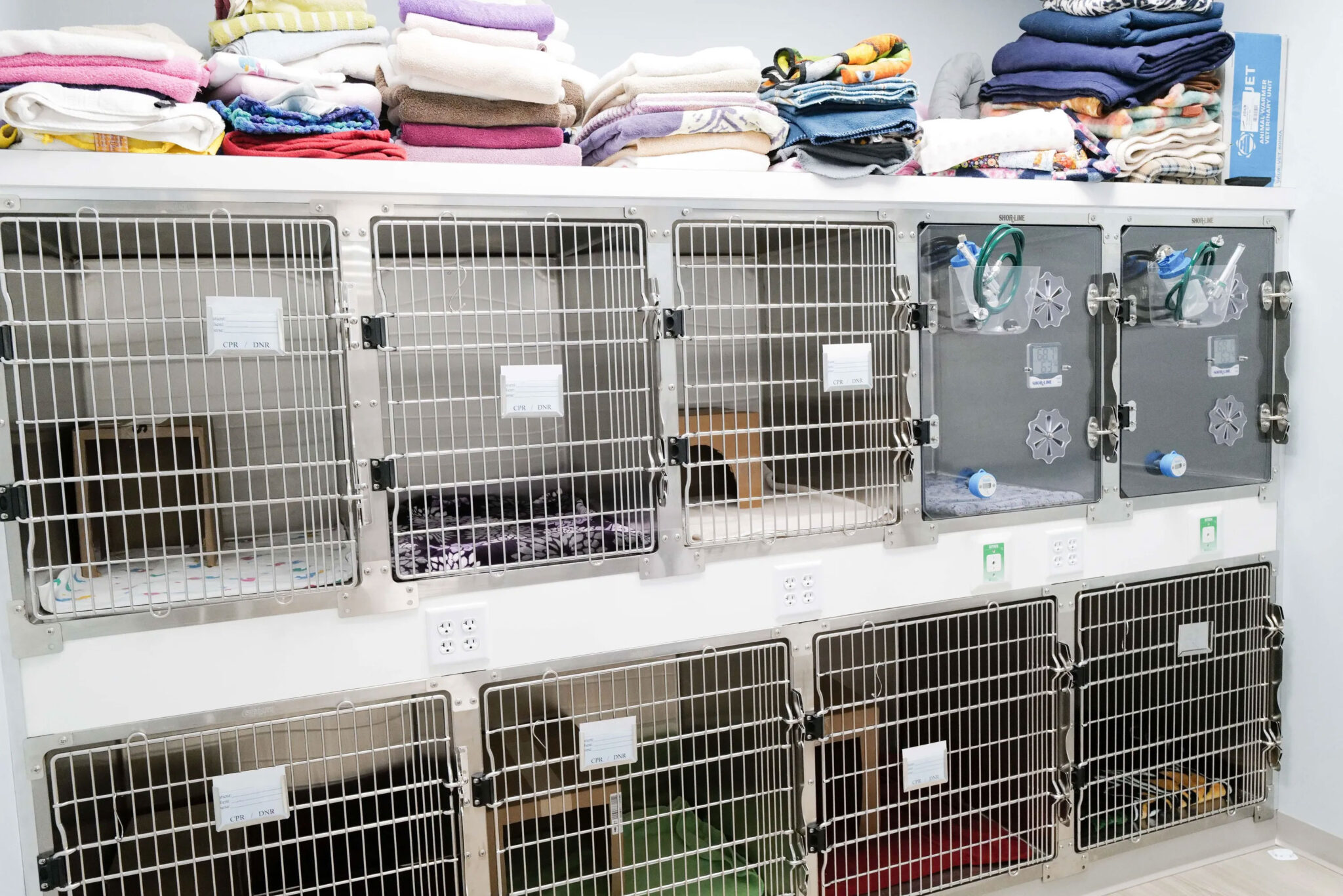 icu area for cats at Hershey Animal Emergency Center