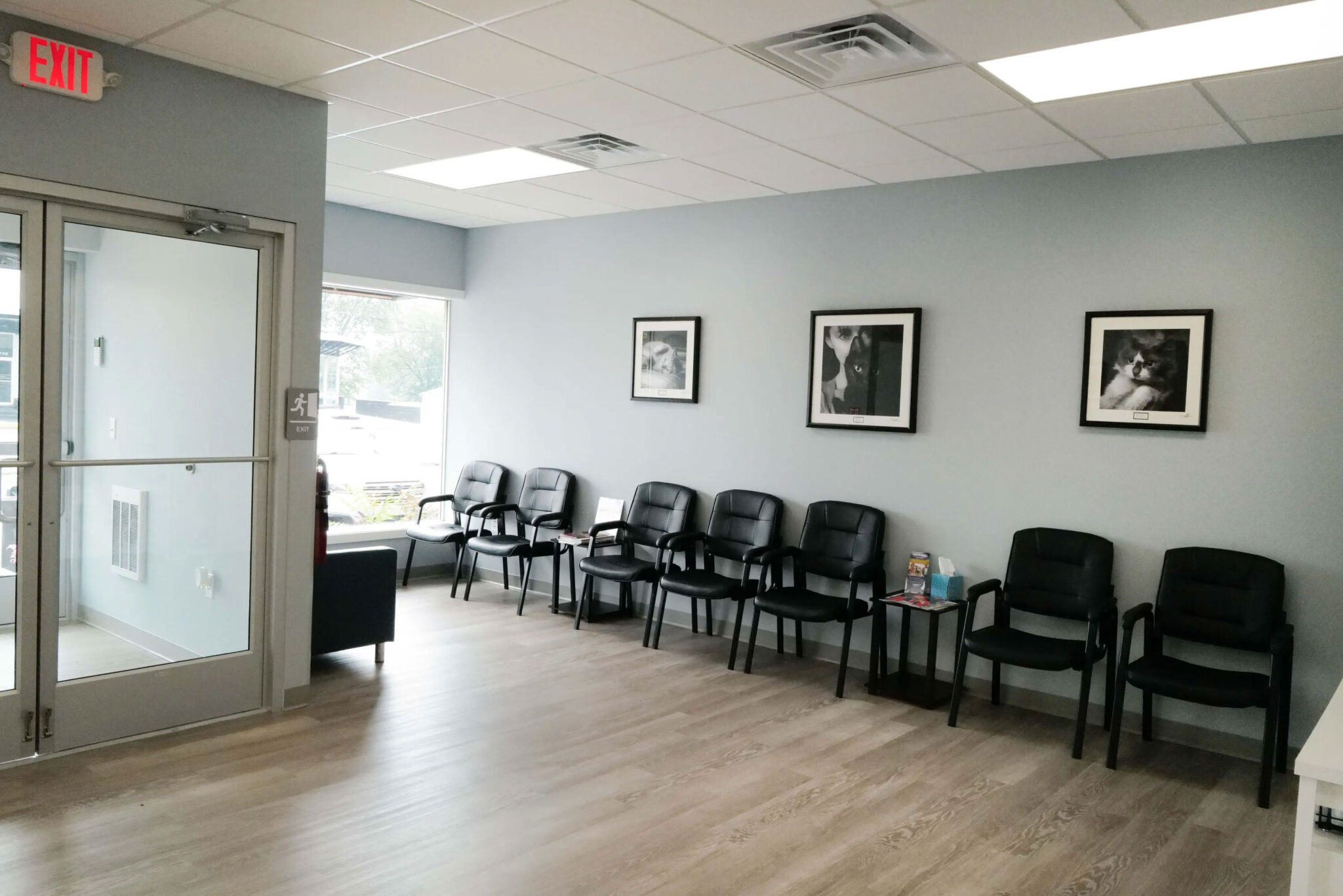 waiting area for cat owners at Hershey Animal Emergency Center