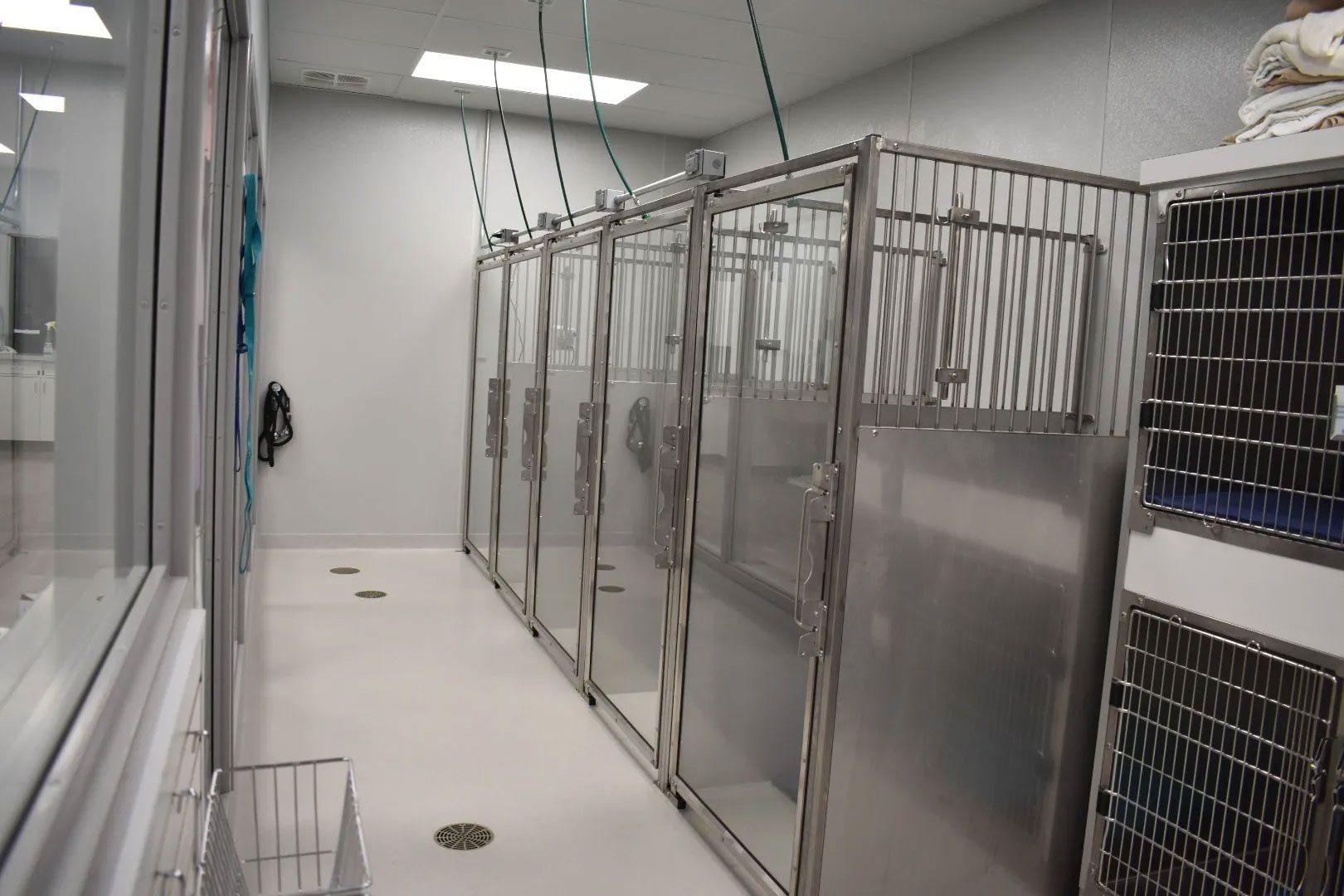 runs for large dogs in veterinary icu at Hershey Animal Emergency Center