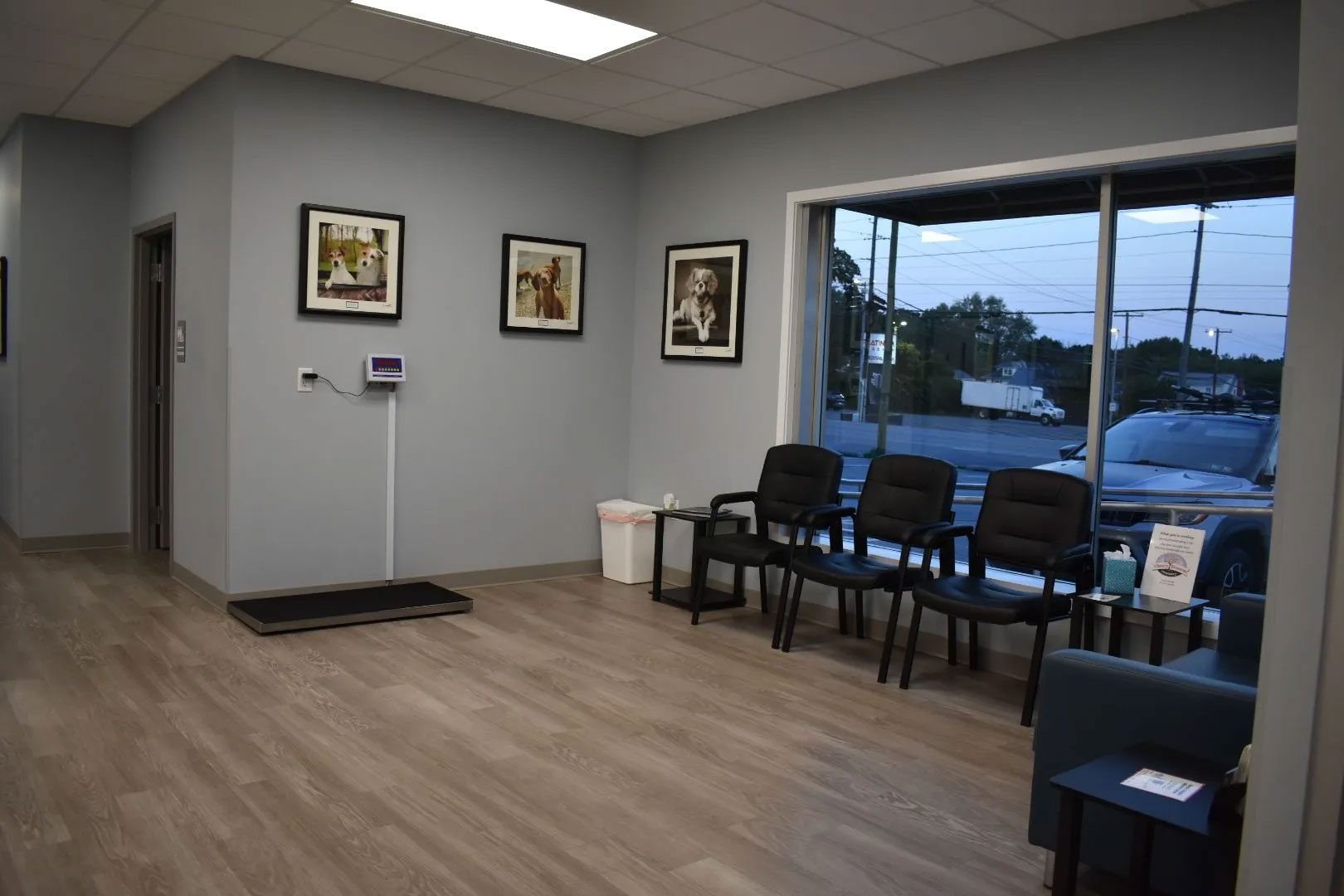 waiting area for dog owners at Hershey Animal Emergency Center