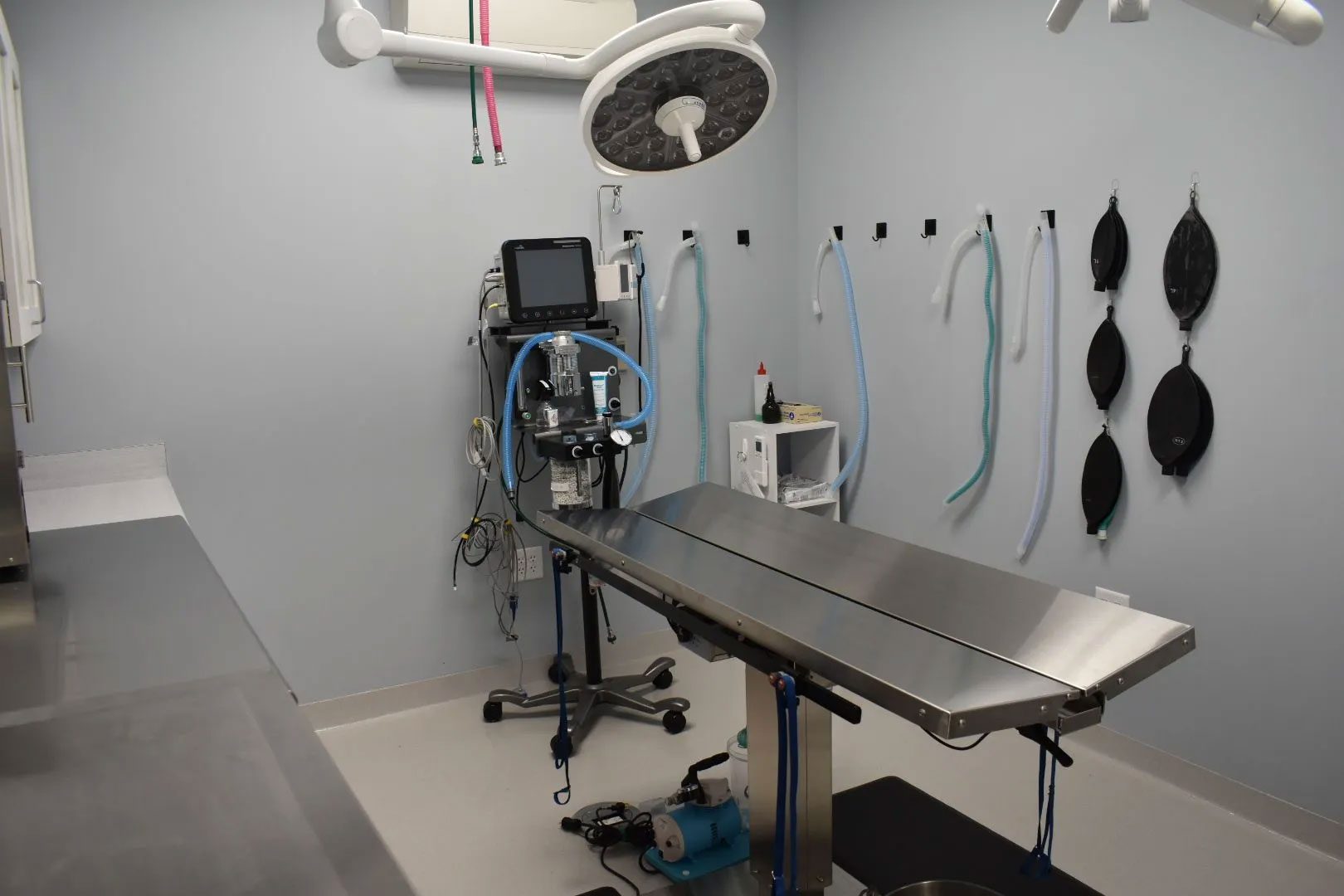 veterinary surgical suite room at Hershey Animal Emergency Center