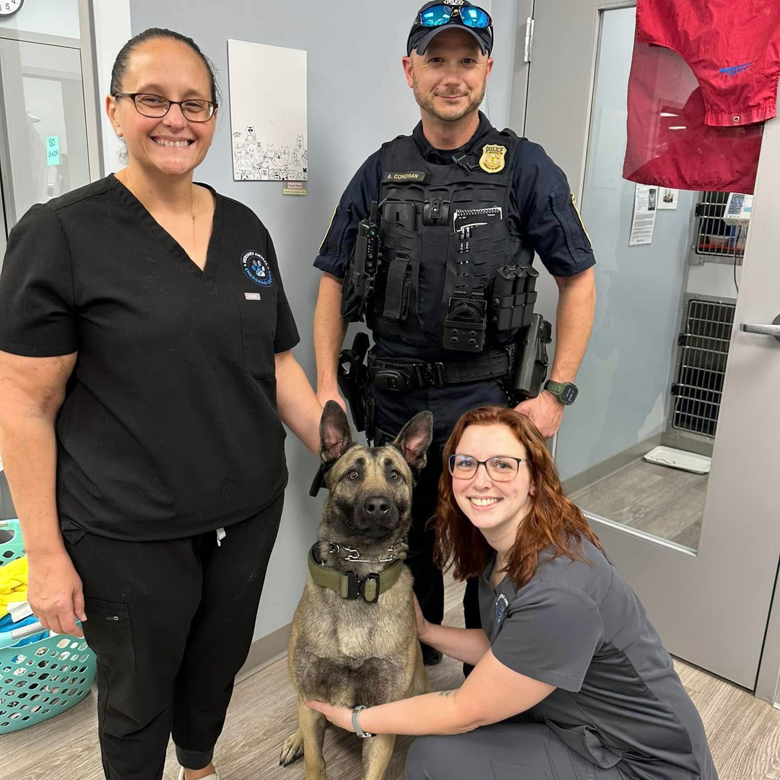Veterinarians With Police Officer and His Dog